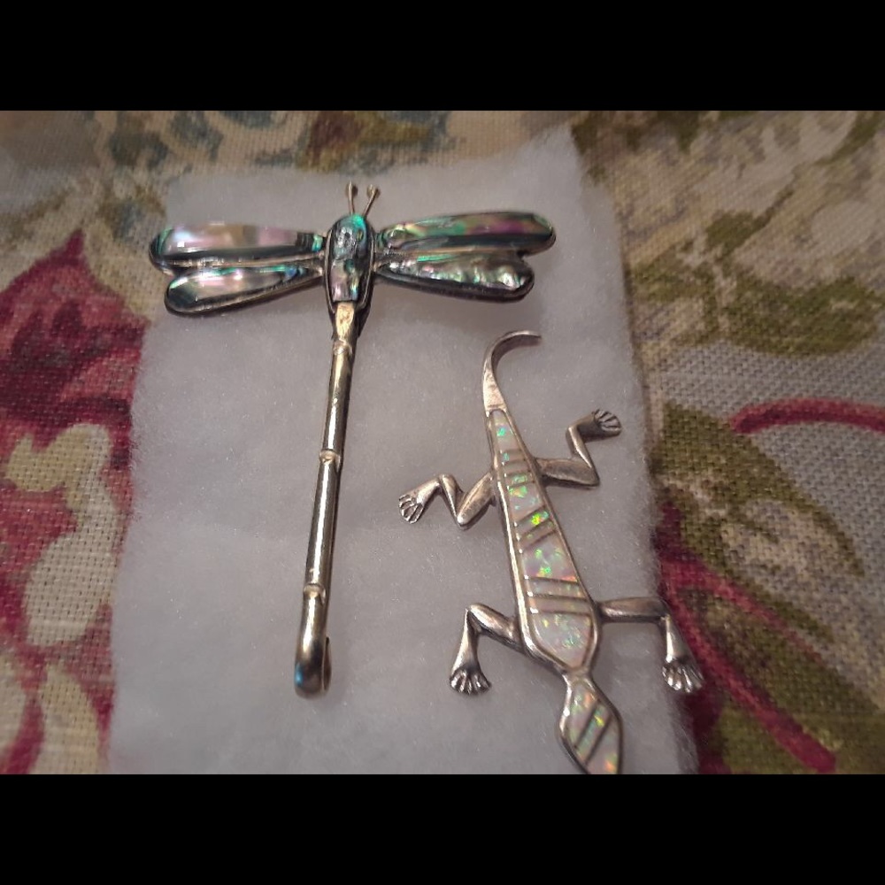 Dragonfly & Lizard Pins
